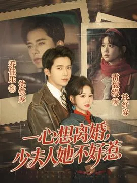一心想离婚,少夫人她不好惹
