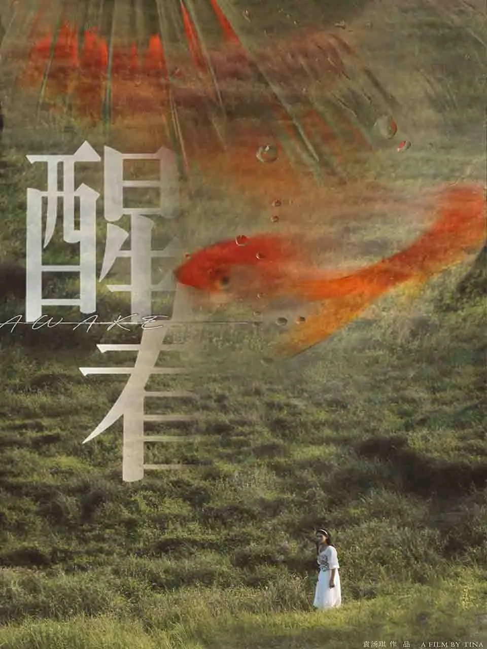 醒着Awake